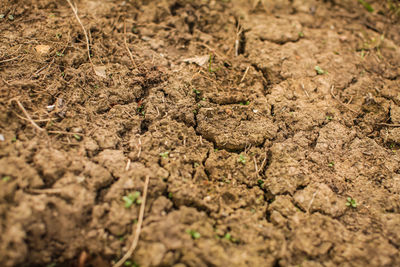 Full frame shot of mud on field