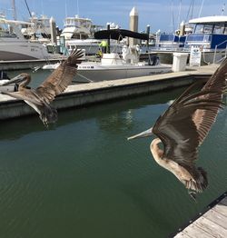 Crane at harbor against sky