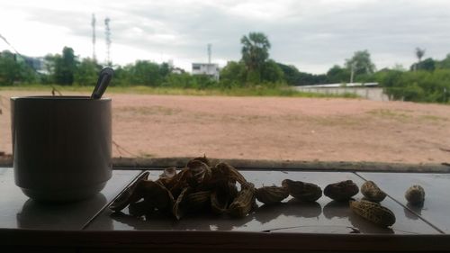 Close-up of coffee on table against trees