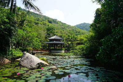 Scenic view of lake in garden against sky