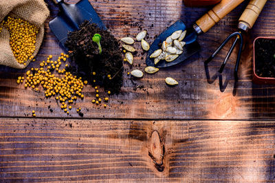 High angle view of chopped vegetables on table