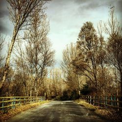 Empty road along trees