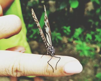 Close-up of cropped hand