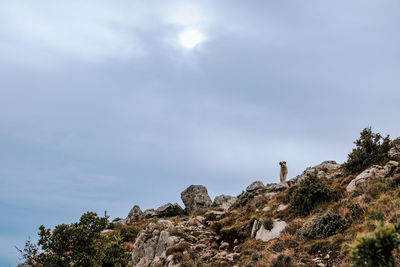 Low angle view of rock formations against sky