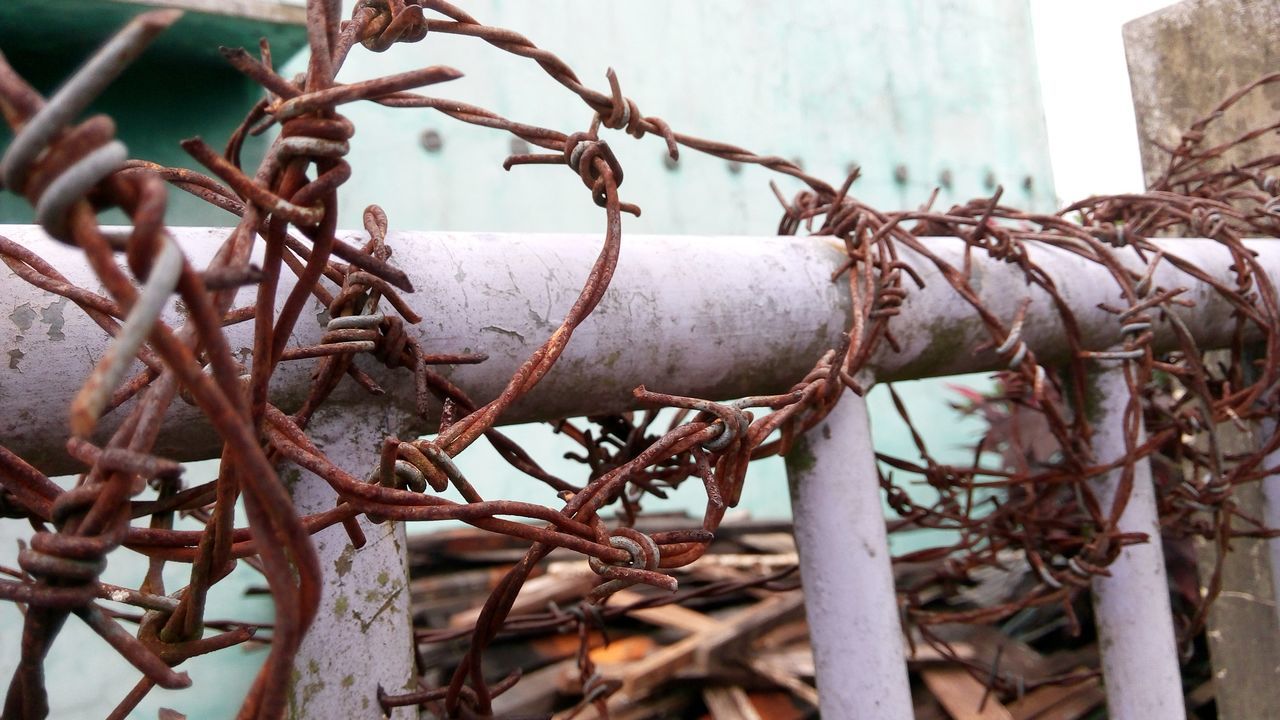 branch, close-up, focus on foreground, rusty, tree, wood - material, damaged, fence, metal, protection, old, day, outdoors, safety, dry, abandoned, bare tree, no people, nature, low angle view