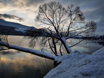 Bare tree by lake against sky during winter