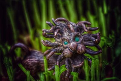 Close-up of flower against blurred background