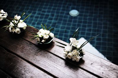 Close-up of white flowers