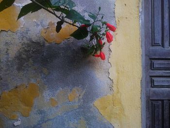 Scenic view of blue and yellow wall of building