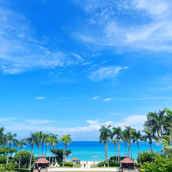 Scenic view of palm trees against sky