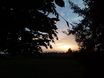 Silhouette trees on field against sky at sunset