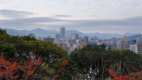 Trees and buildings in city against sky