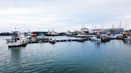 Boats moored at harbor