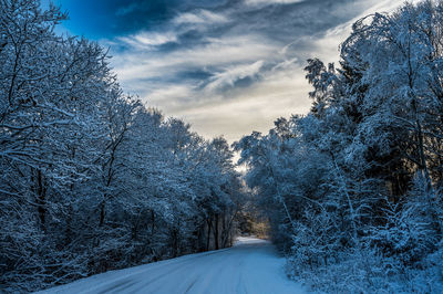 Curved road in