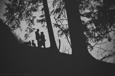 Low angle view of silhouette men on tree against sky