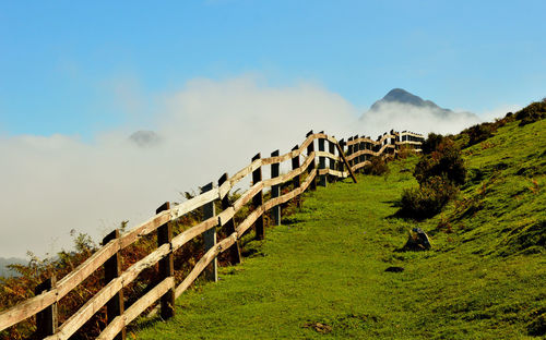 Mountain meadows in the picos de europa national park, asturias, spain.