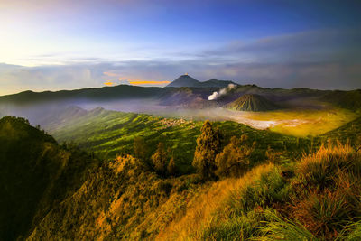 Scenic view of landscape against sky at night