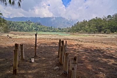 Wooden fence on field against sky