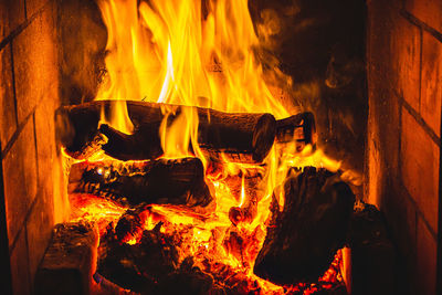 Close-up of bonfire on wooden log at night