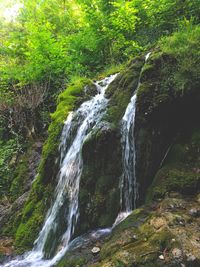 Scenic view of waterfall in forest