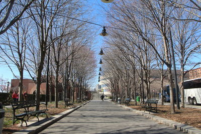 Footpath leading towards bare trees