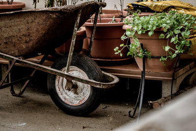 Potted plants on field