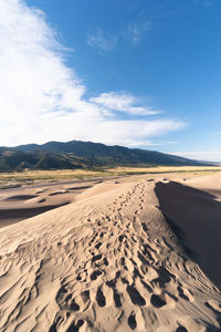 Scenic view of beach against sky