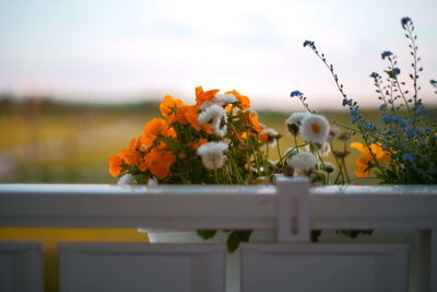 Close-up of orange flower pot against sky