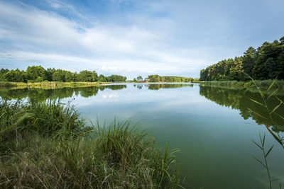 Beautiful lagoon among hills and forests at sunset. roztocze region, krasnobrod, poland