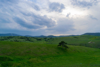 Scenic view of landscape against sky