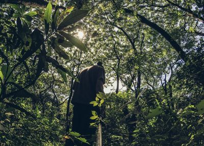 Rear view of man standing by tree in forest