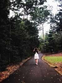 Rear view of woman walking on road against trees