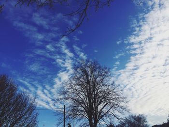 Low angle view of tree against cloudy sky