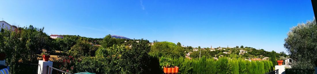 Panoramic view of trees against clear blue sky