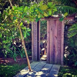 Closed wooden gate in yard