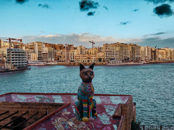 View of cat by building against sky