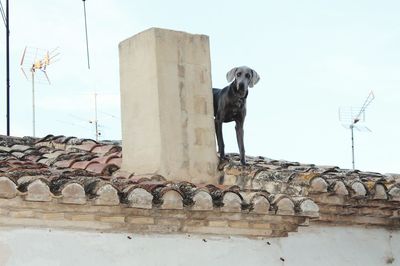 Low angle view of built structure