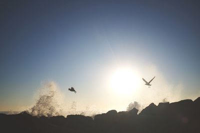 Low angle view of silhouette birds flying against clear sky