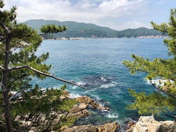 Scenic view of sea against sky