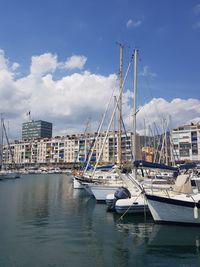 Sailboats moored at harbor