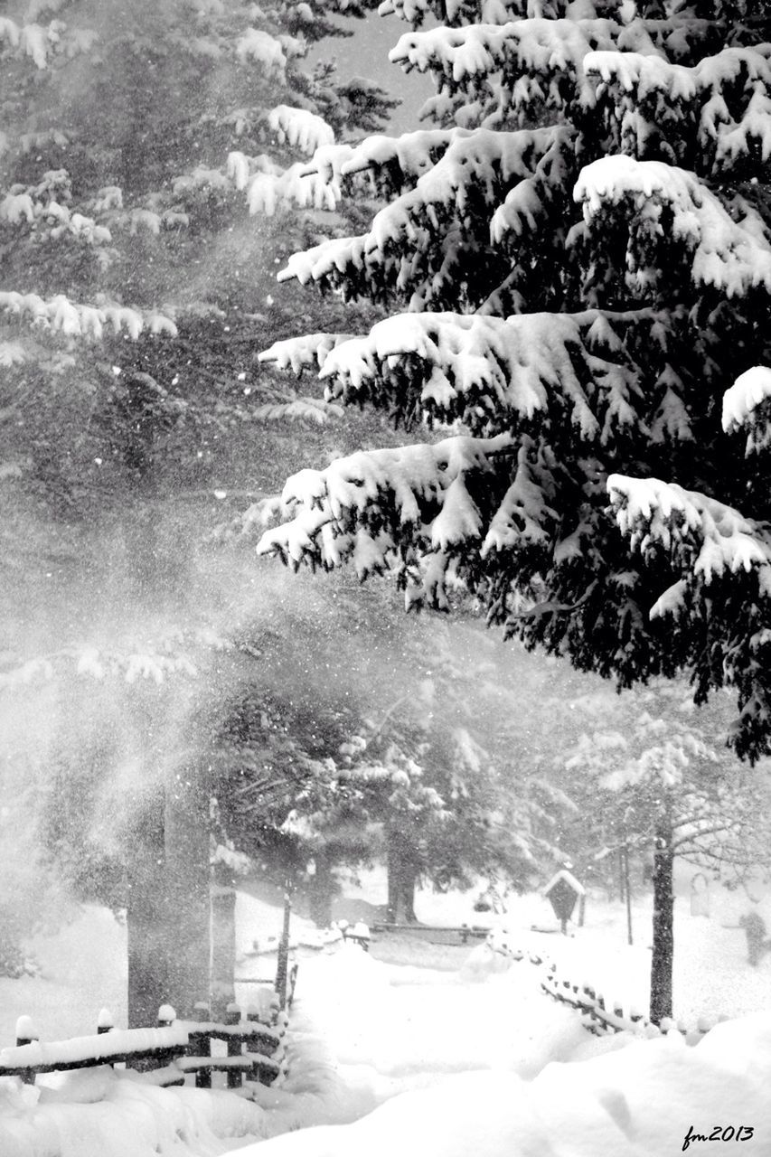 snow, winter, cold temperature, season, weather, covering, frozen, nature, white color, tranquility, covered, beauty in nature, tree, field, landscape, tranquil scene, scenics, high angle view, built structure, day