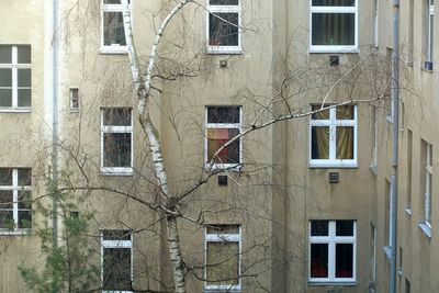 Low angle view of building