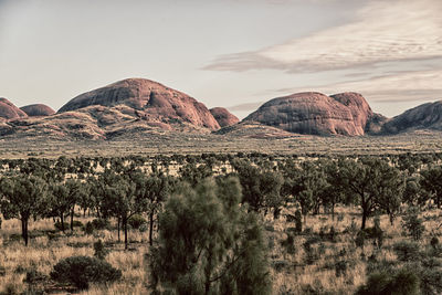Scenic view of arid landscape against sky