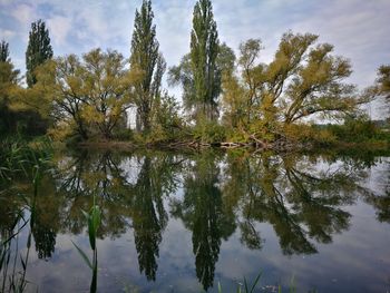 Reflection of trees in lake against sky