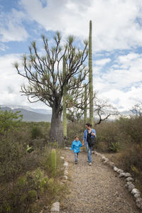 People walking on tree by plants against sky