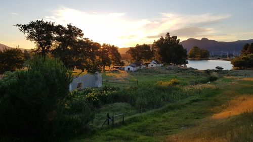 Scenic view of field against sky during sunset