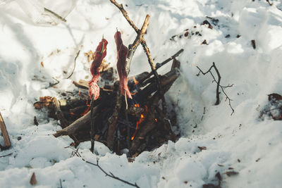 High angle view of bonfire on snow covered land