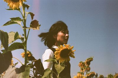 Low angle view of young woman standing amidst sunflowers