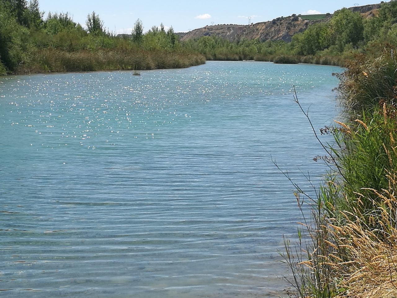 water, tranquil scene, tranquility, lake, scenics, tree, beauty in nature, nature, blue, rippled, sky, mountain, grass, idyllic, plant, growth, day, outdoors, non-urban scene, no people, calm, non urban scene, lakeshore, landscape, remote, green color, cloud, green, sunny