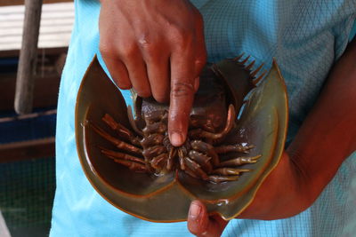 Midsection of man holding horseshoe crab